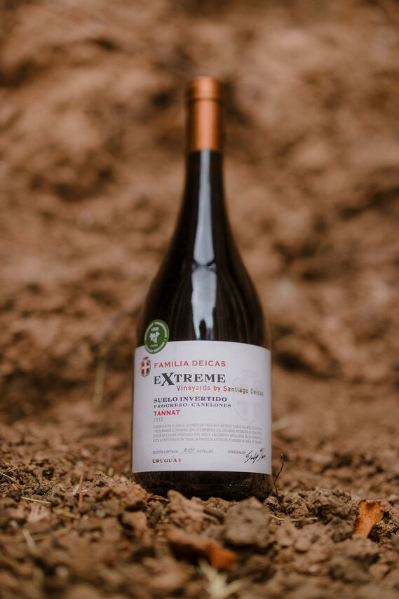 Extreme Vineyards Suelo Invertido Tannat